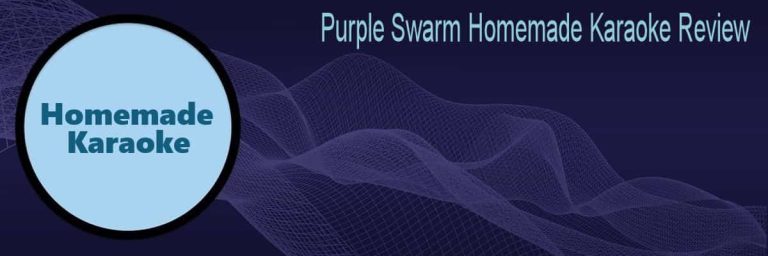 Purple Swarm Homemade Karaoke Review